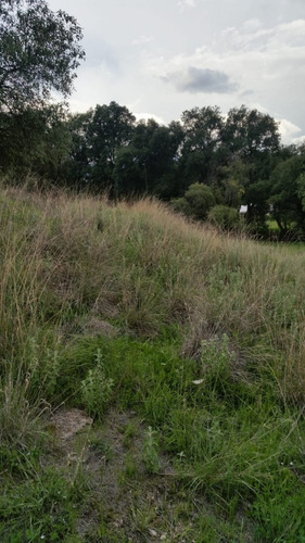 Imagen 7 de 12 de Terreno En Texcoco (venta)