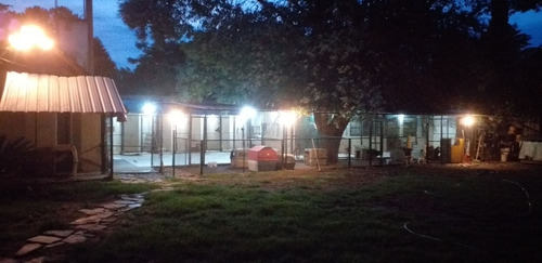 Imagen 2 de 5 de Guarderia Canina Rincon De Tortuguitas