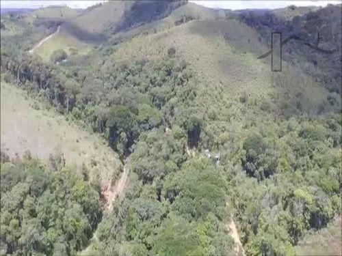 Imagem 8 de 12 de Cod 6025 - Bela Área Medindo 40 Mil Metros - 6025