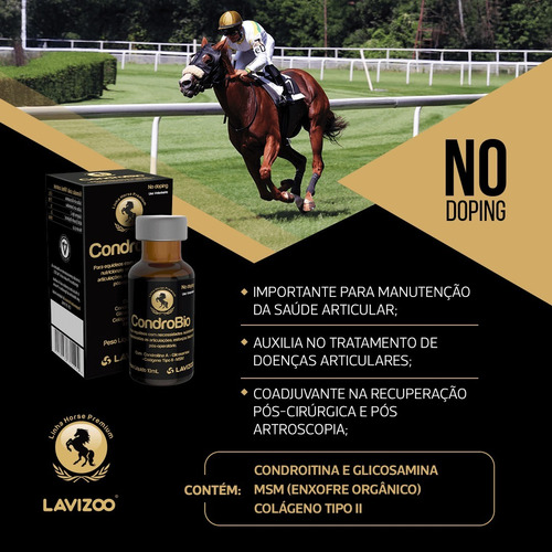Condrobio Lavizoo 10ml Recuperação Articular Equinos Atletas