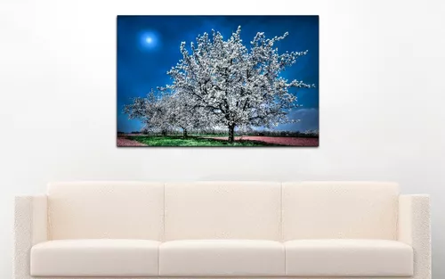 Cuadro Árbol Cerezo Japones Decoración 86x56 Fotográfia