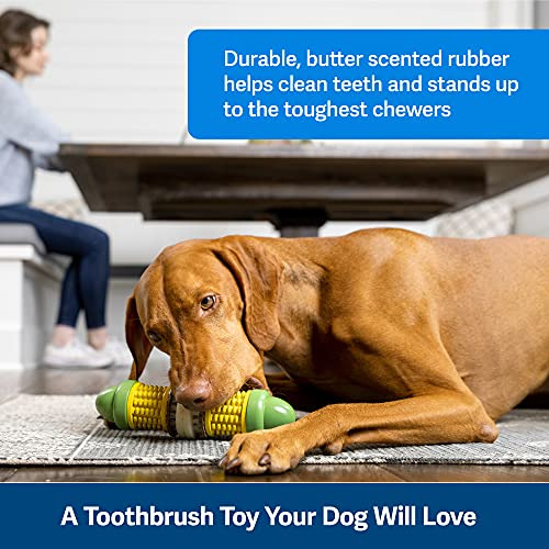 Juguete Perro Cravin Corncob Busy Buddy - Interactivo,