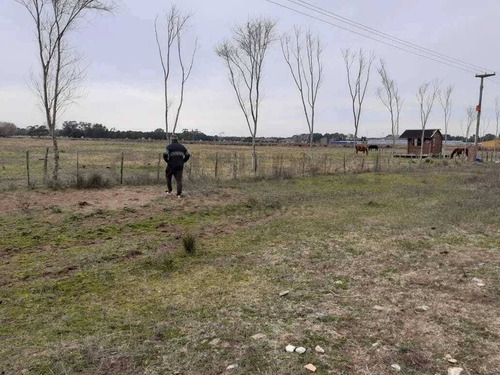 Imagen 3 de 4 de Venta Finca 6 Ha . Aguas Verdes, La Lucila, Bs.as. Costa Atlántica