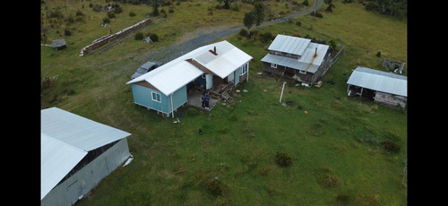 Se Vende Campo De 41 Hectáreas Con Casa Y Bodega