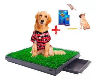 Baño Ecológico Portátil Grande Pet Potty Con Bandeja+regalo