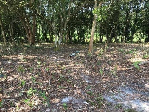 Imagem 7 de 7 de Ótimo Terreno De Chácara No Litoral, Analisa Carro!! - 4588
