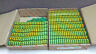 Lot Of 164 Weidmuller Ek 4 New Ek4 Ssd