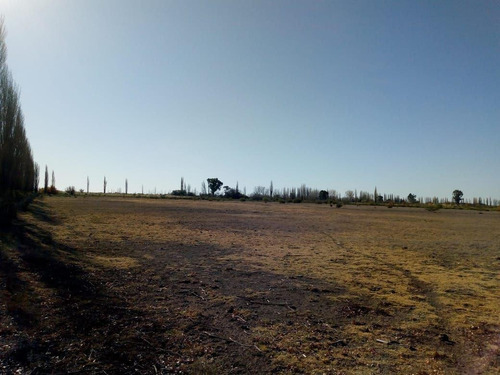 Imagen 12 de 26 de Venta Campo 103 Ha General Alvear