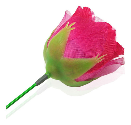 Accesorios Antorcha De Flores A Hombres Mujeres Accesorios