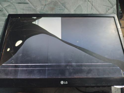 Monitor LG 19m38a Display Roto
