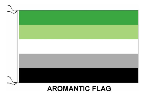Bandera Lgbt Arromantico 120 X 70cm