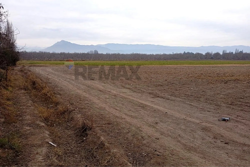  Oportunidad Única: Terreno De 9 Ha En Buin 