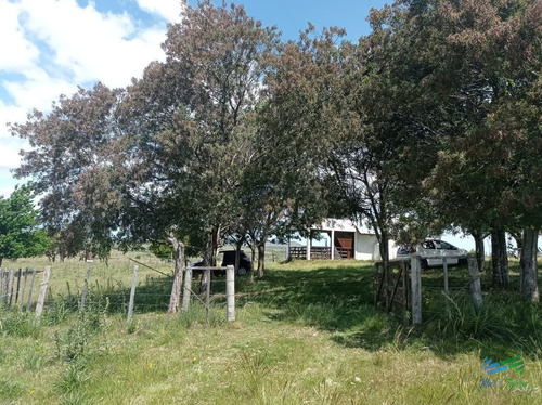 Imagen 16 de 20 de Vendo Chacra 5 Hectateas Con Casa En Ruta 39, Las Cañas - Las Cañas Las Cañas