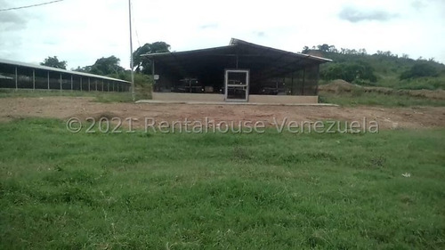 Imagen 3 de 14 de Venta De Granja Avicola En El Zulia Para Inversionistas