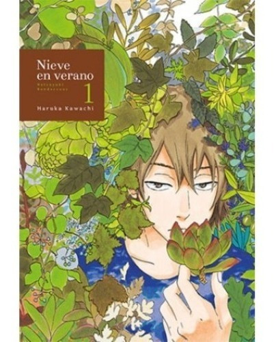 Nieve En Verano 01  Manga (nuevo)