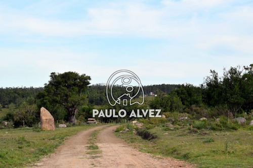 Imagen 13 de 30 de Chacras-venta-cerros-azules-ch068
