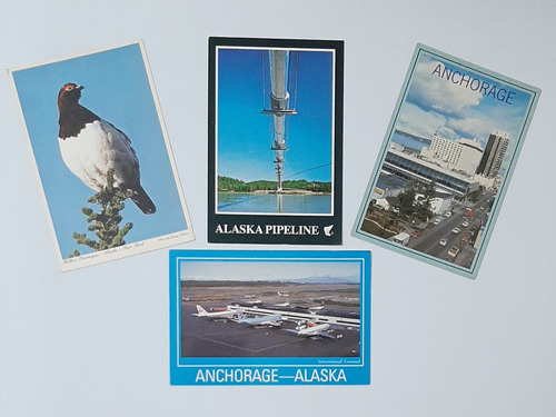 Cartão Postal Alaska - 4 Peças 