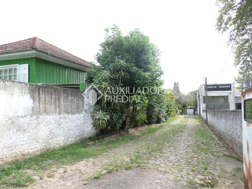 Imagem 10 de 14 de Terreno - Camaqua - Ref: 260800 - V-260800