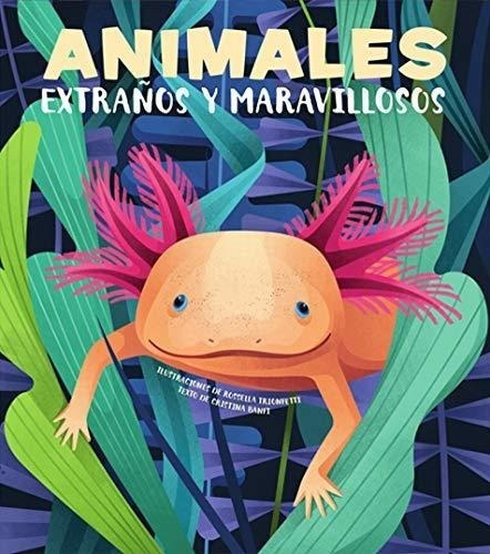 Animales Extraños Y Maravillosos (vvkids) (vvkids Libros Par