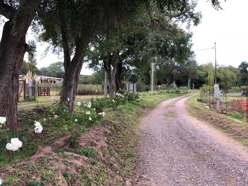 Imagen 6 de 7 de Terreno - Dique Cabra Corral