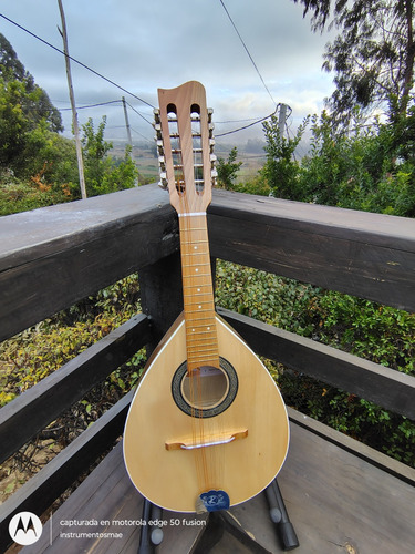 Mandolina Rauli Natural Acústica 10 Cuerdas