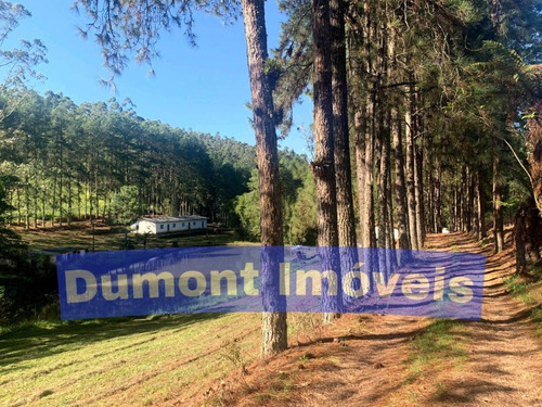 Imagem 1 de 14 de Maravilhosa Área Com 378.700m² Em Ibiúna/sp Cód. 552