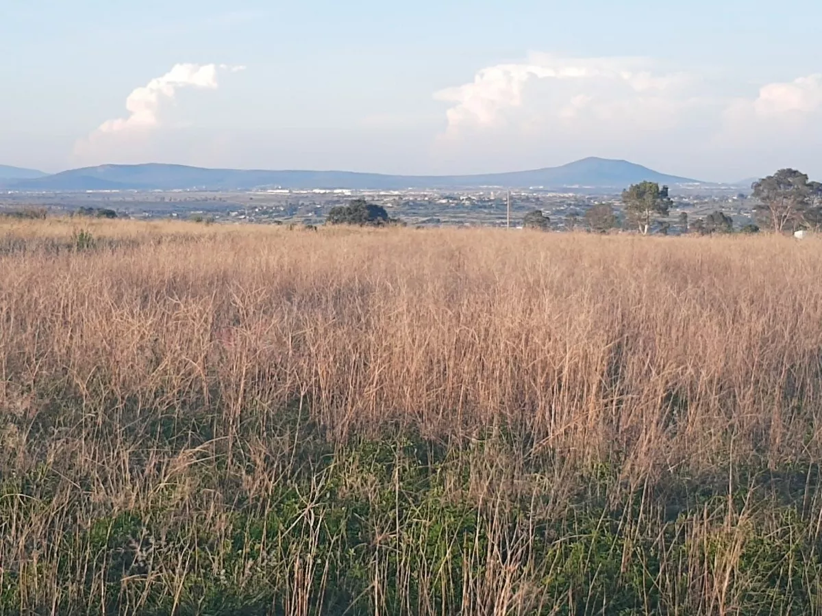 Terreno En Venta San Juan Del Río Querétaro