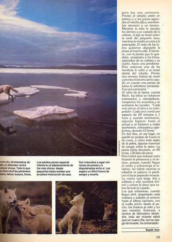 Revista Conozca Mas || Año 3 Febrero-1992 (Usado)