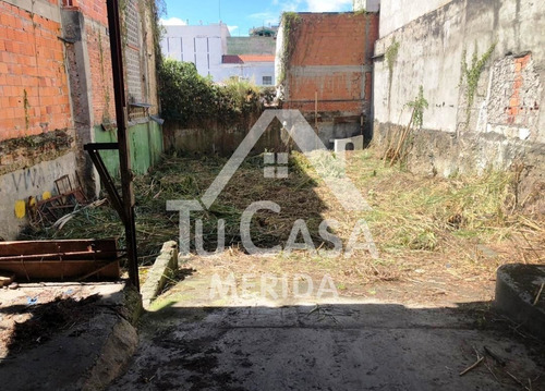 Imagen 3 de 8 de Terreno Céntrico