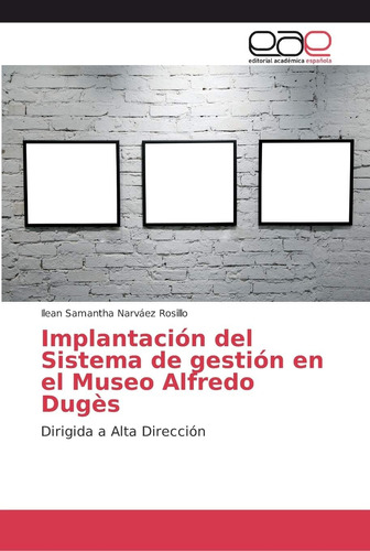 Libro: Implantación Del Sistema De Gestión En El Museo Alfre
