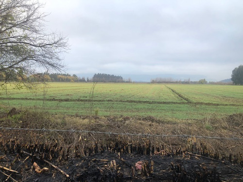 Se Vende Campo Agric En Santa Cruz. A 2 Minutos Centro.