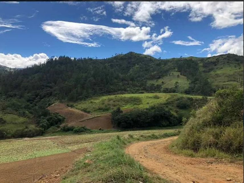 Finca De Oportunidad En Constanza 796 Tareas Acepto Permuta