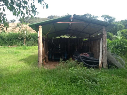 Chacara Proximo A Vicosa Maravilhosa Contem Casa Boa, Pomar, Escritura Na Mao, Pronta Pre Vc E Sua Família Desfrutar Dessa Maravilha - 5470