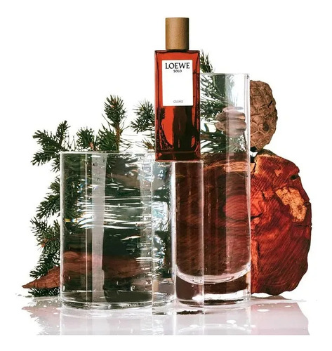 Perfume Importado Solo Cedro Edt 100ml Loewe Gtia Orig. !!