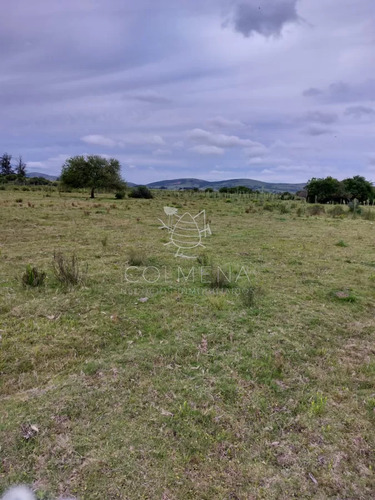 Campo 11 Has Con 683 M2 En Paraje Pueblo Eden