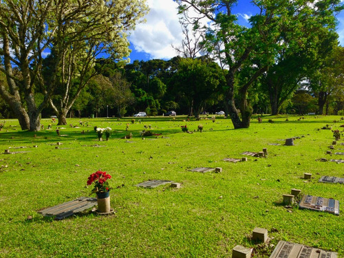 Imagem 8 de 14 de Jazigo - Cemitério Parque Iguaçú