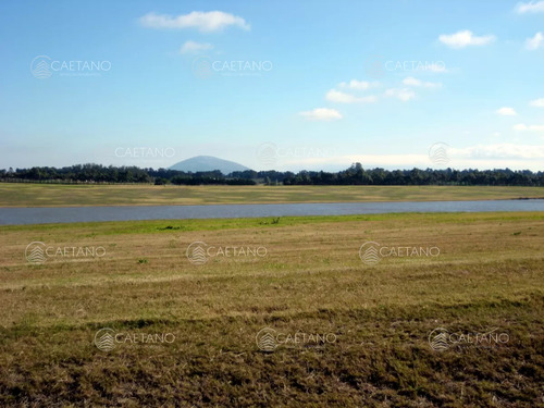 50 Metros De Costa, Acepta Financiacion Sin Interes, Venta, Chacra, Punta Del Este, Uruguay, Laguna De Los Cisnes