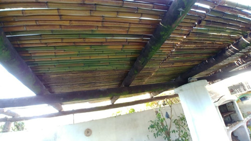 Imagen 7 de 10 de Cerco De Caña Tacuara - Pergolas Caña Bambu - 1m X 2.00 Alto