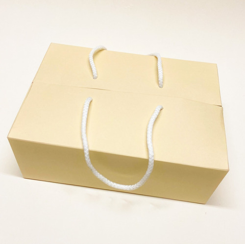 Imagen 5 de 7 de Caja Bolsa Premium Rígida C/cordón 18x25x18cm (x50u) 215