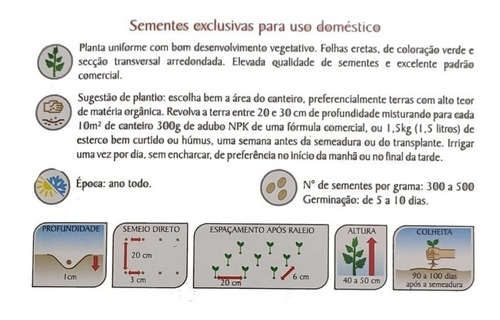Sementes De Cebolinha Todo Ano