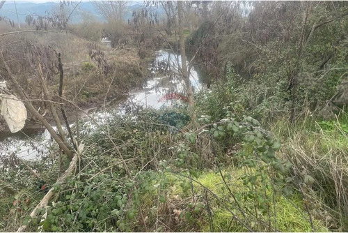 Terreno Agrícola En Rauco: Inversión Ideal