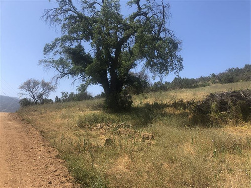 Sitios De 20.000 M2 Camino El Toro - Curacavi