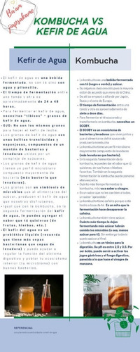 Imagen 5 de 5 de Tibicos De Agua (100gr +100gr Panela)