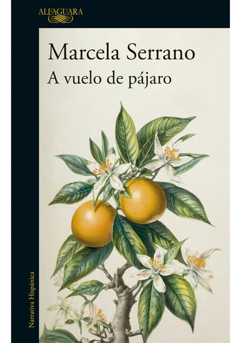 A Vuelo De Pajaro - Marcela Serrano - Alfaguara - Libro