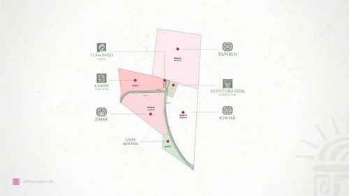 Imagen 2 de 10 de Terreno - Pueblo Sisal