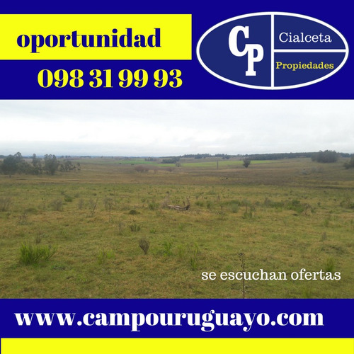 7 Hectáreas Y Media,chacra A La Venta En Canelones
