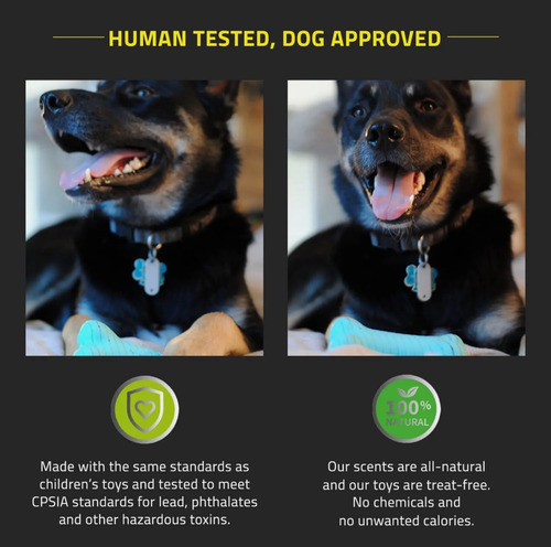 Juguete Para Perros Playology