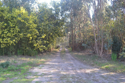 Chacra Marítima En Fortín De Santa Rosa