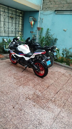 Rezzio Predator 250 - 2024