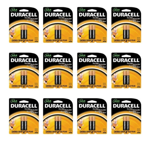 Imagem 1 de 1 de Duracell Palito Pilha Aaa C/2 (kit C/12)